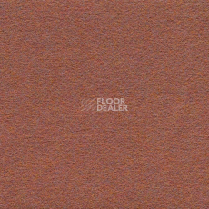 Ковролин Finett Dimension p 509204 – f 509104 фото 1 | FLOORDEALER